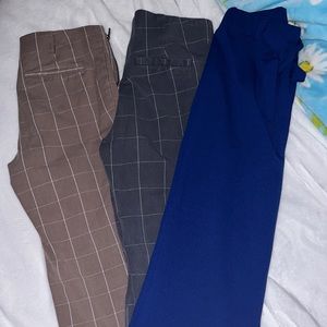 Dress pants